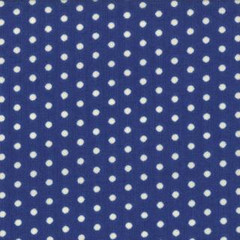 Avalon Floral Polka Dot Bikini Nantucket Blue