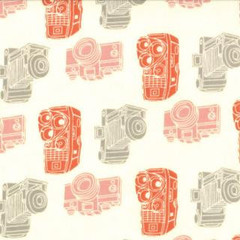 2wenty Thr3e Cameras Parchment