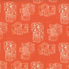 2wenty Thr3e Cameras Clementine