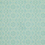 Victoria & Albert Museum Jones Collection Starred Citron Blue