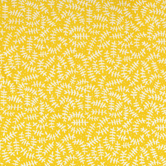 Cloud9 In The Forest Branches