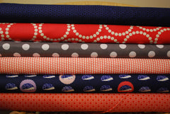 Outfoxed Hedgehogs Navy and Coral Pop Precut Bundle
