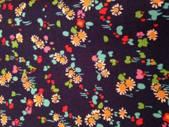 Liberty Lifestyle Bloomsbury Gardens Dorothy Rich Red Blue