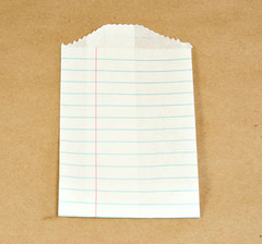 Notebook Little Bitty Bags